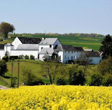 La Ferme De Basseilles ξενώνας Mozet Εξωτερικό φωτογραφία