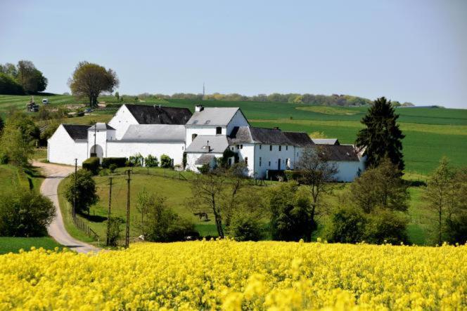 La Ferme De Basseilles ξενώνας Mozet Εξωτερικό φωτογραφία